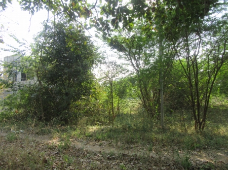 2) Li Id : 151 - Pic 3.JPG
